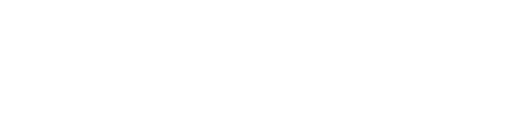 Mission Wisconsin logo